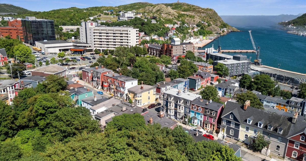 Vue aérienne du centre-ville de St. John's et du port