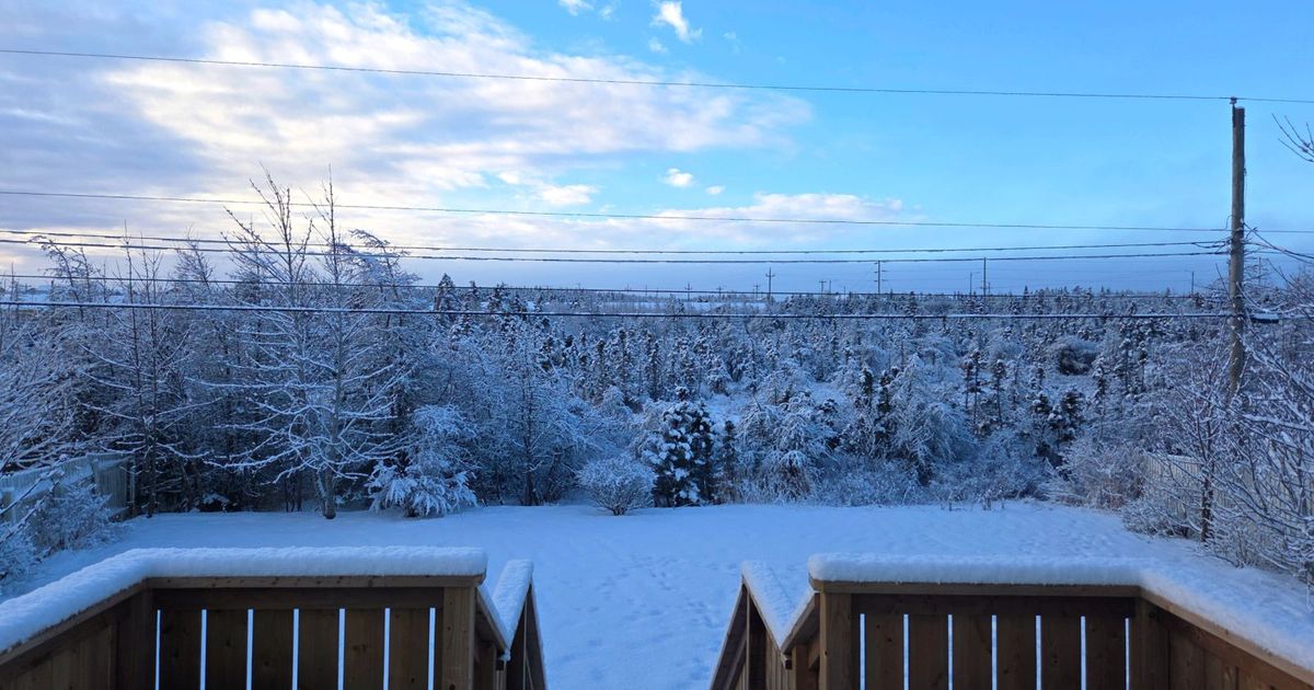 A snow-covered deck looking out over a backyard and trees after fresh snow