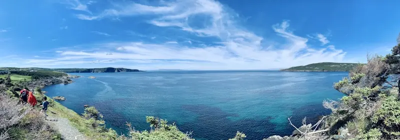 Vue panoramique sur Conception Bay